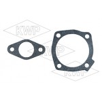 10298 Pompa acqua FI CROMA LC THEMA - € 43 iva inclusa