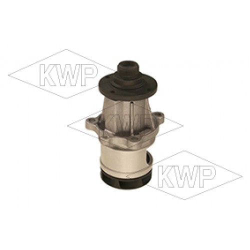 10431 Pompa acqua BMWSerie3/5 - € 38 iva inclusa